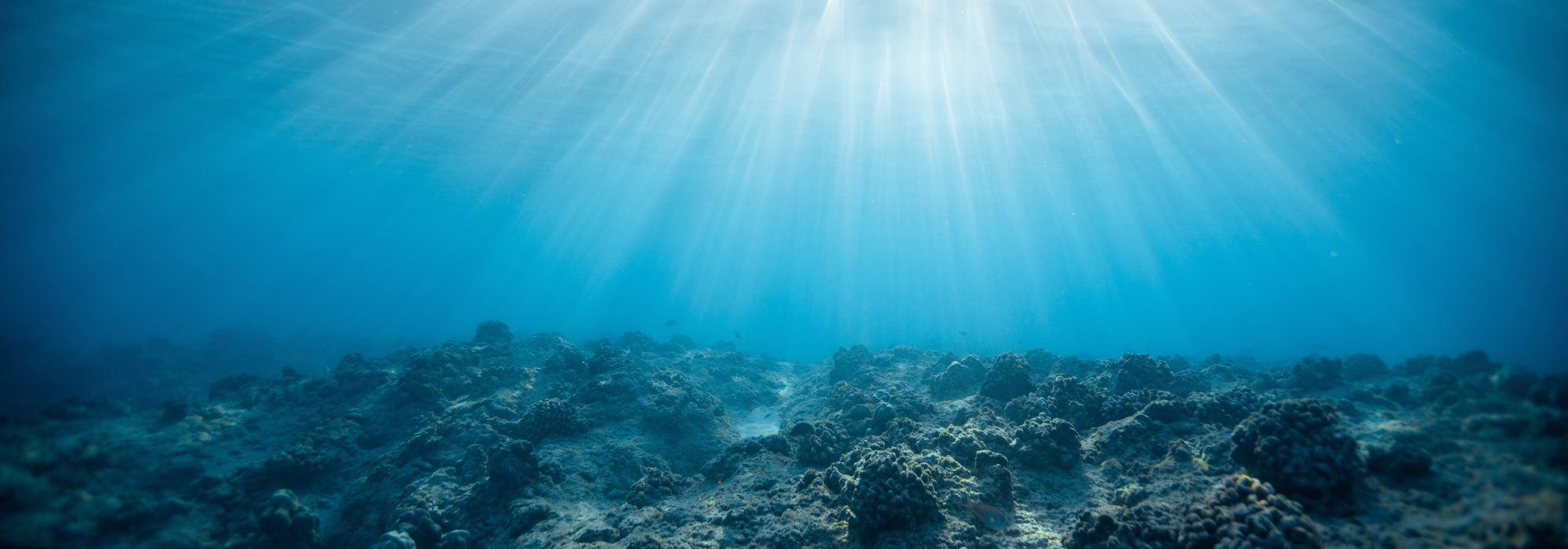 AUKUS Pillar II Grant Funding Competition